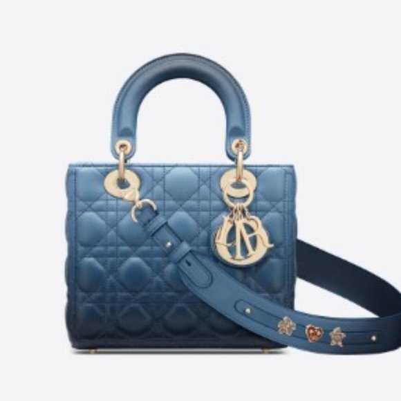 brand new medium lady dior bag - Picture 3 of 3